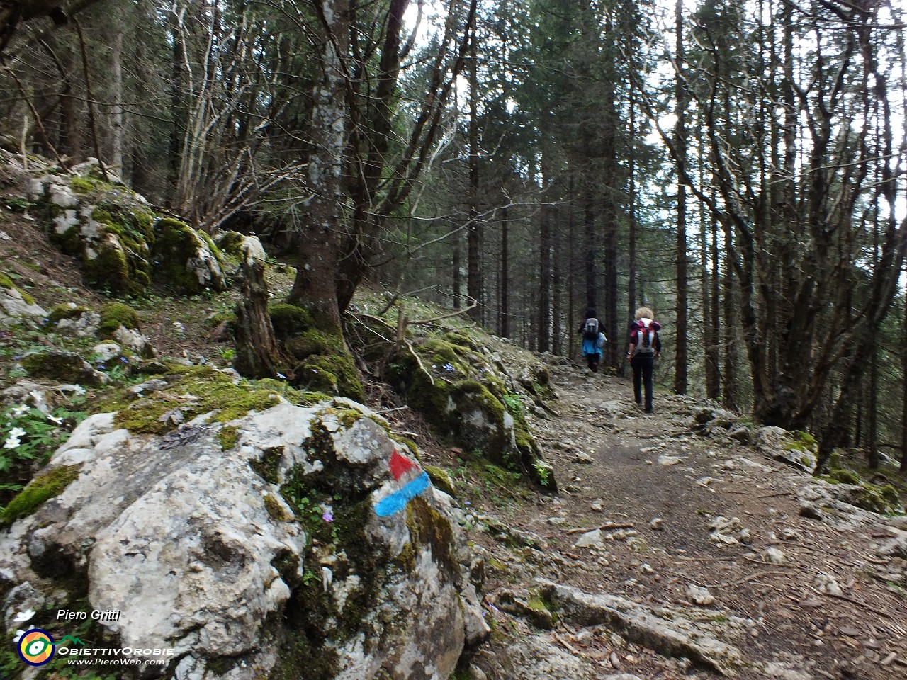 89 Rientriamo al Colle di Vareno dal versante seriano.JPG